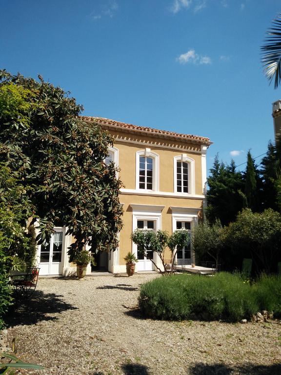 La Maison Des Palmiers Homps  Bagian luar foto